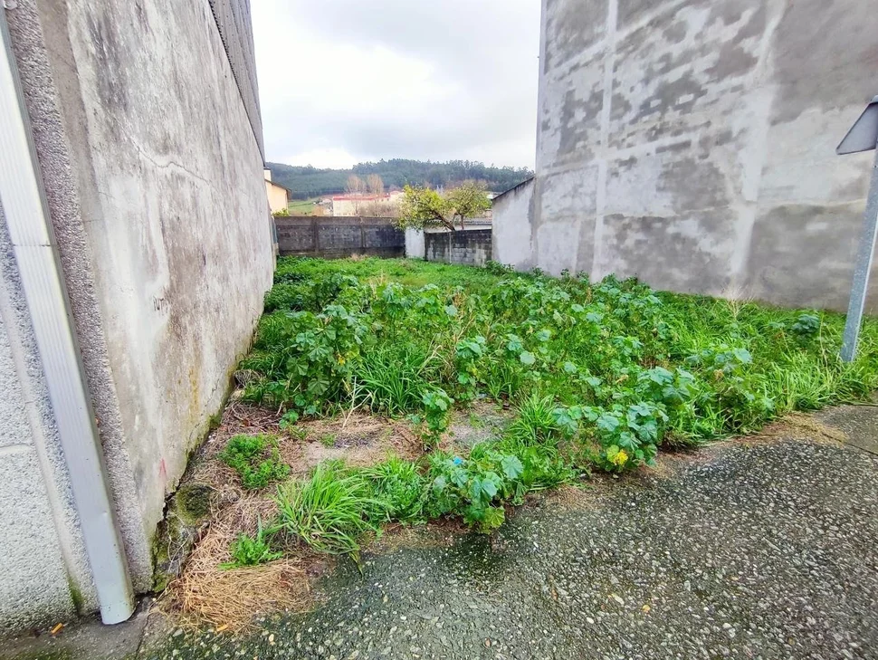 Solar edificable en neda, neda