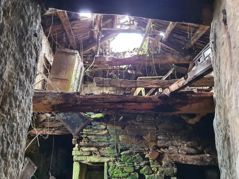 Para rehabilitar en xentoso, monfero