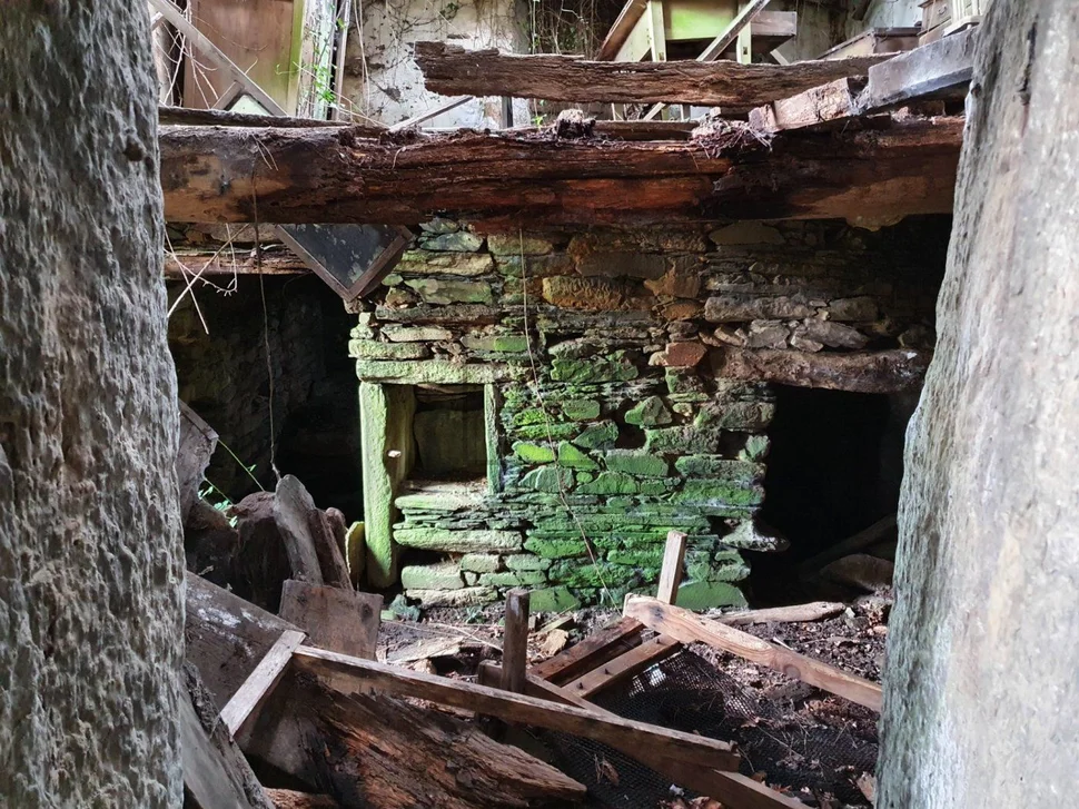 Para rehabilitar en xentoso, monfero