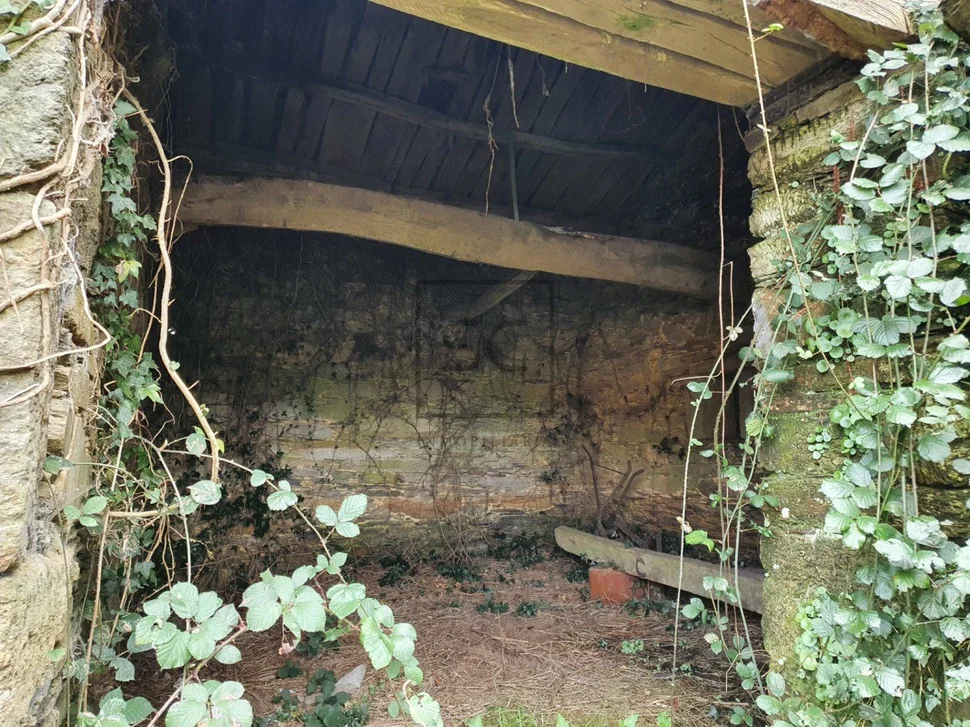 Para rehabilitar en xentoso, monfero