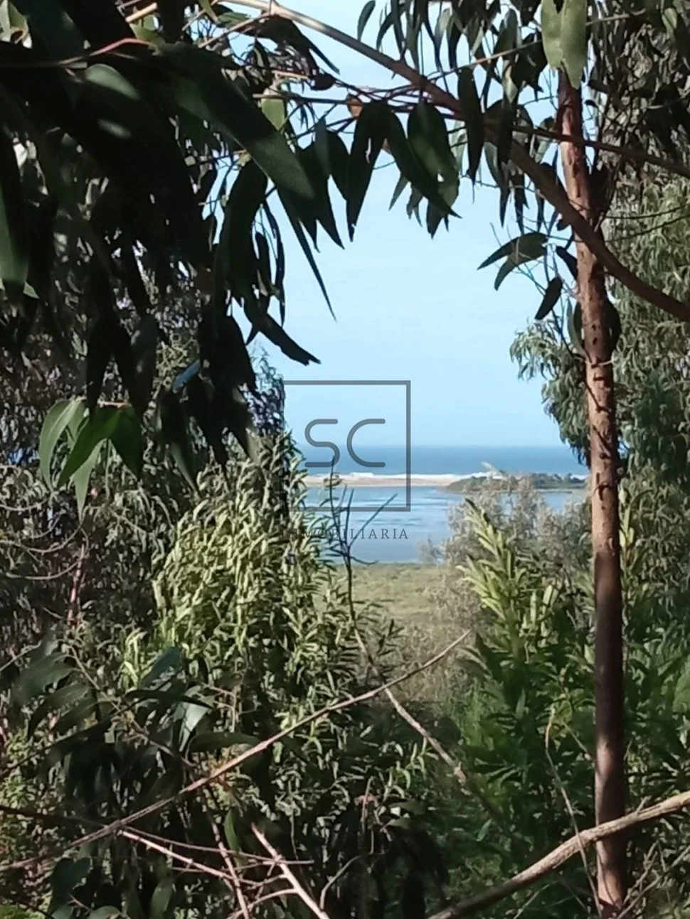 Finca ideal para negocio en el lago, valdoviño