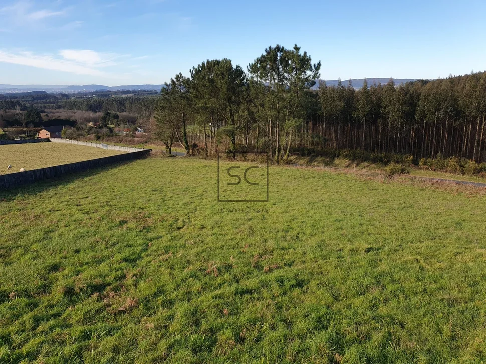 Casa con finca y bodega en sedes, narón