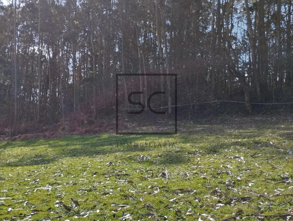 Casa amueblado con terreno en larín, arteixo
