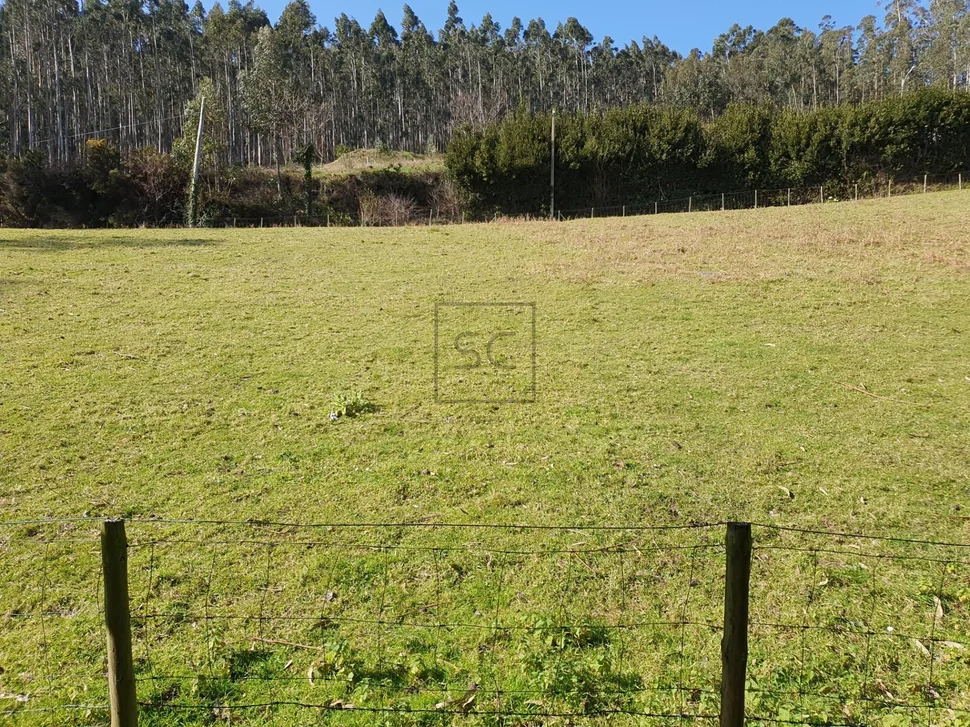 Casa con finca en cedeira