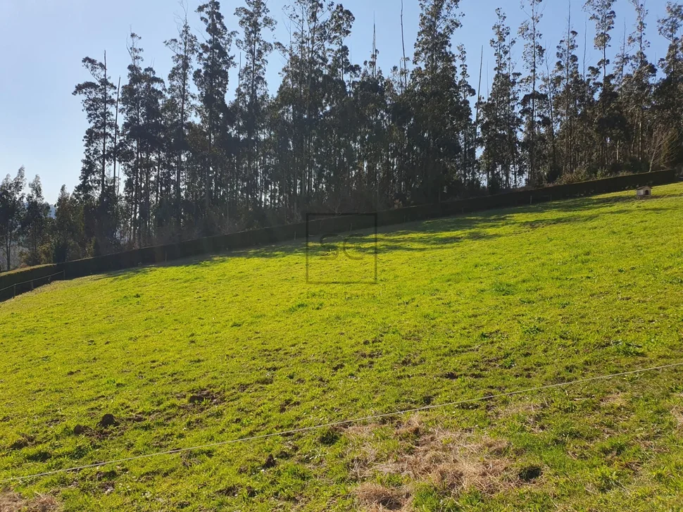 Casa con finca en cedeira