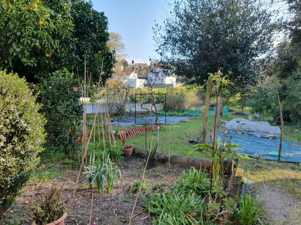 Edificio con garaje y finca