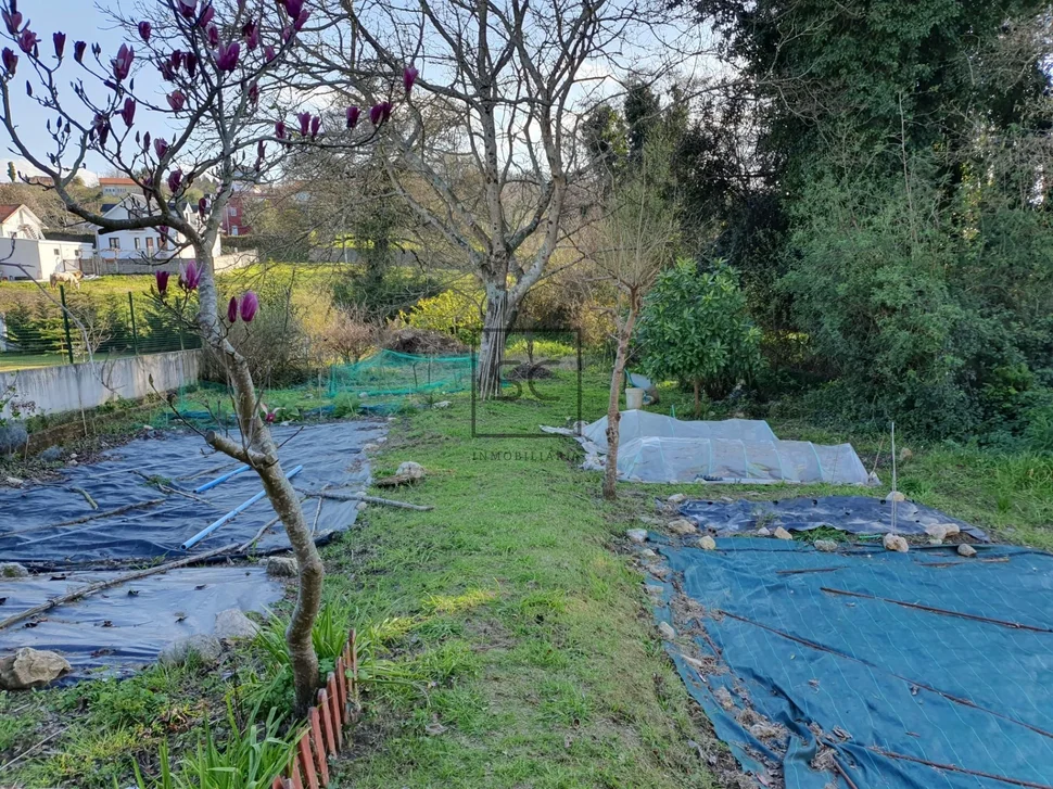 Edificio con garaje y finca