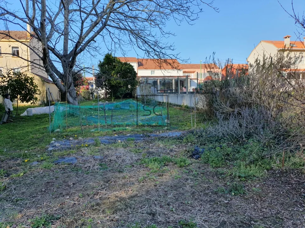 Edificio con garaje y finca