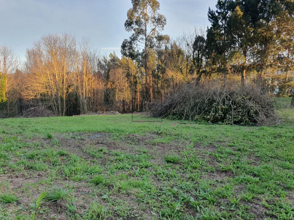 Finca edificable en caamouco-ares