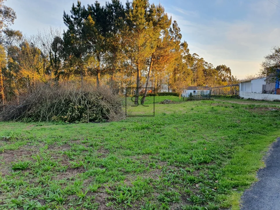 Finca edificable en caamouco-ares