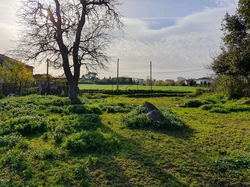 Finca urbanizable en mugardos