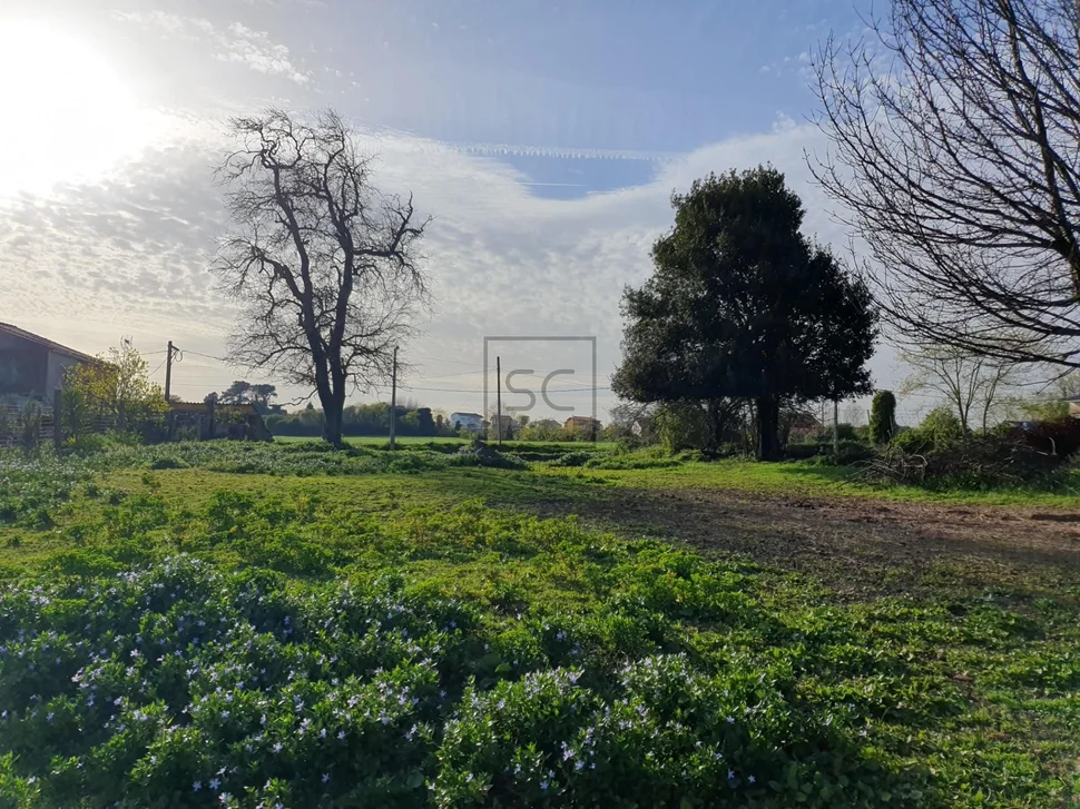 Finca urbanizable en mugardos