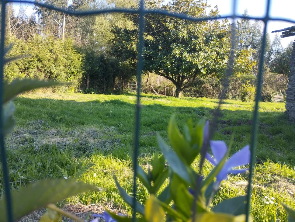 Casa para reformar en A Bedoxa