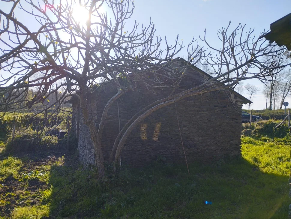 Casa para reformar en A Bedoxa