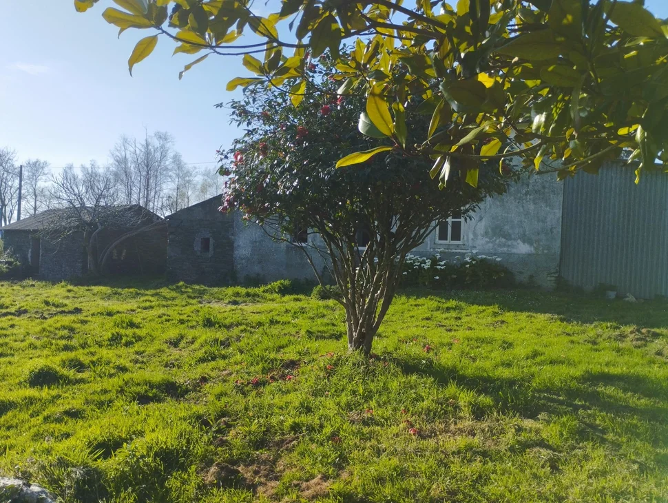 Casa para reformar en A Bedoxa