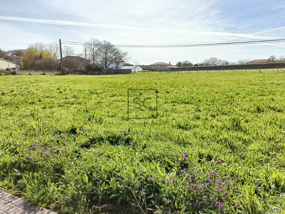 Terreno edificable en canto do muro
