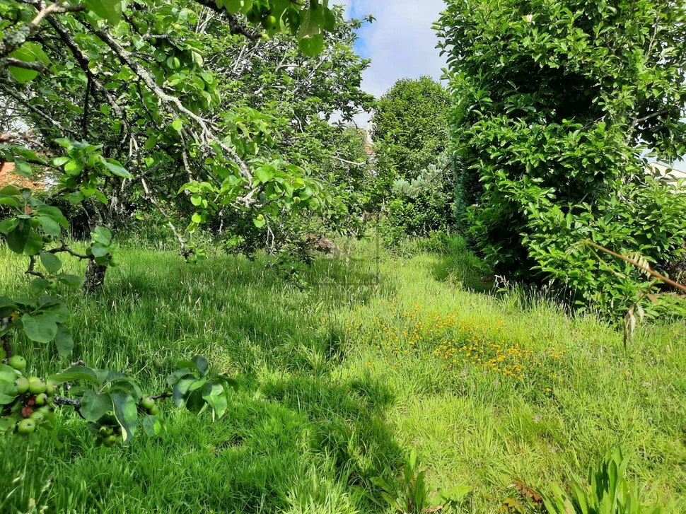 Casa adosada con finca edificable para reforma integral en la zona de santa cecilia, narón