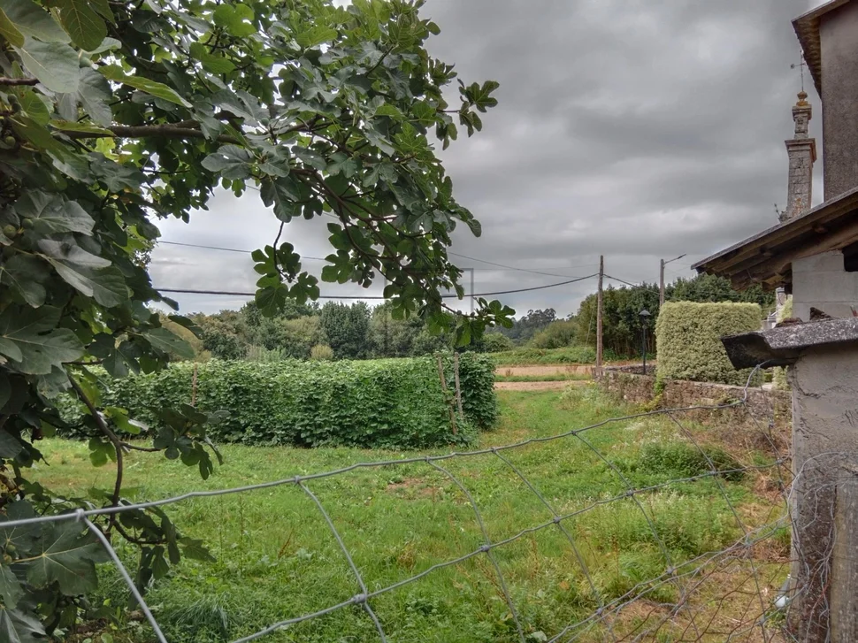 Casa con bodegas y finca