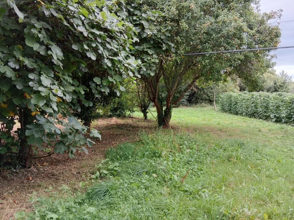 Casa con bodegas y finca