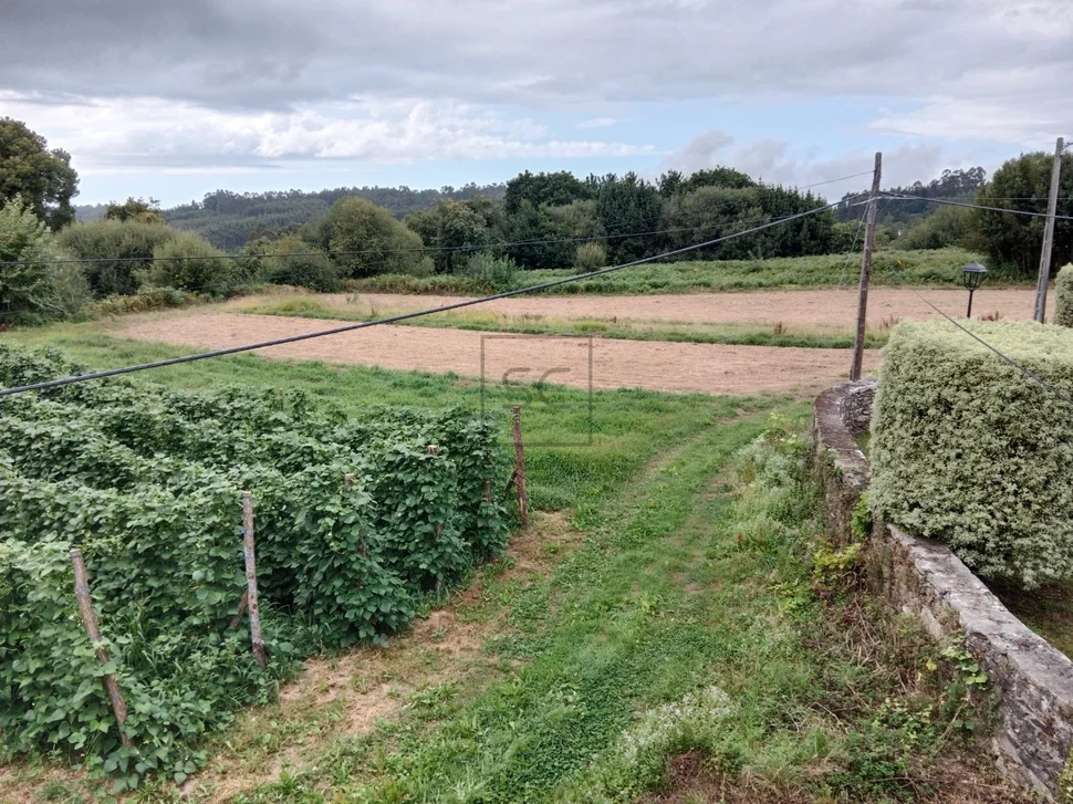 Casa con bodegas y finca