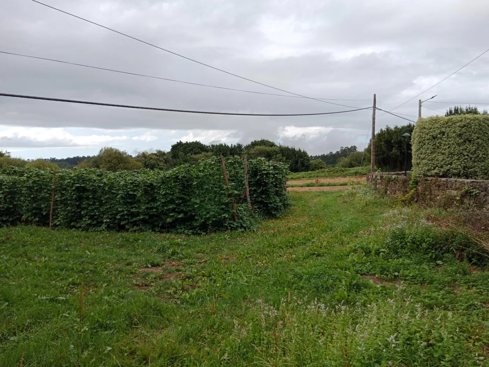 Casa con bodegas y finca