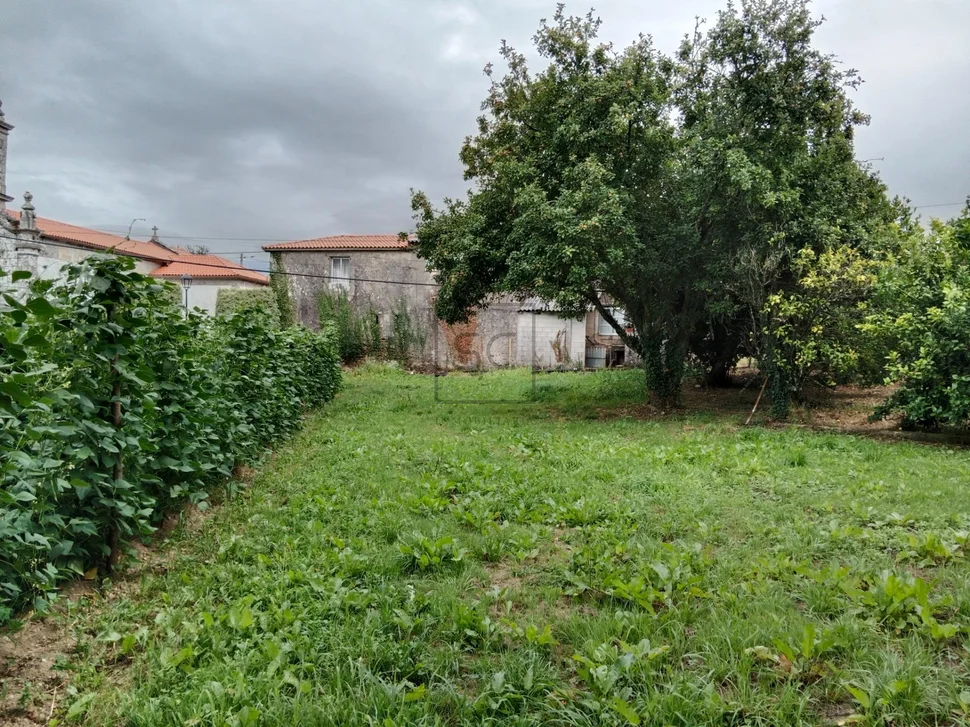 Casa con bodegas y finca