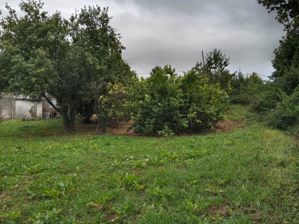 Casa con bodegas y finca