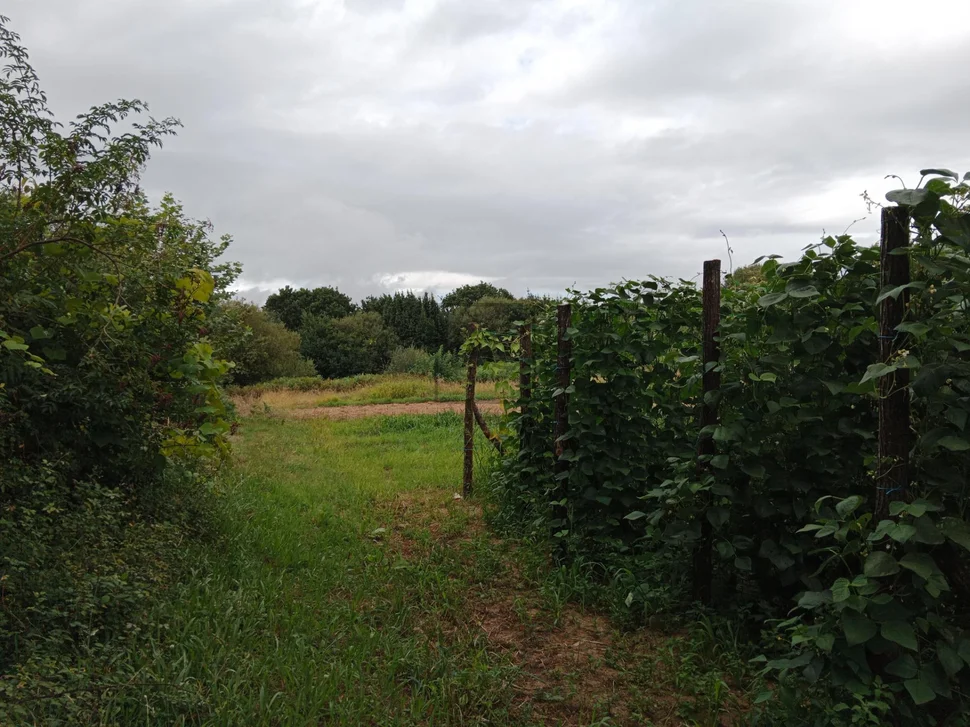 Casa con bodegas y finca