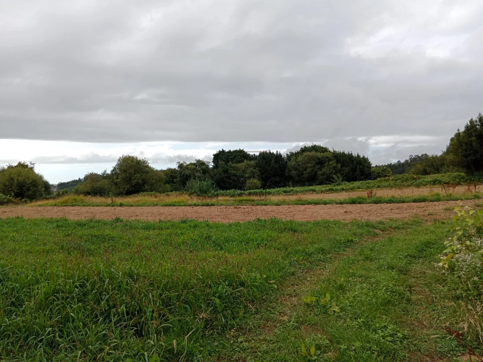 Casa con bodegas y finca