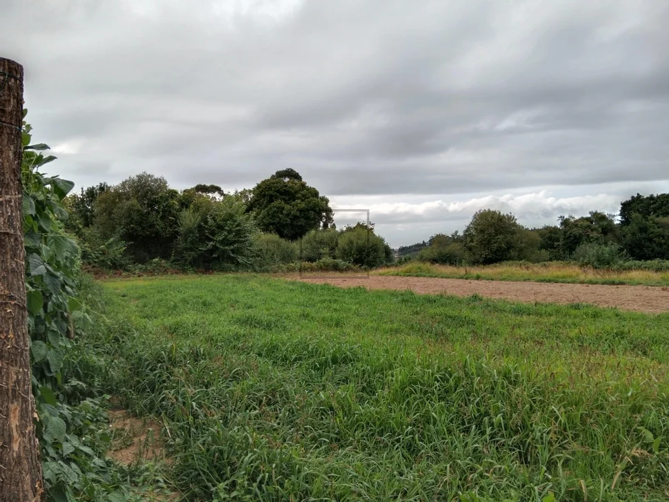 Casa con bodegas y finca