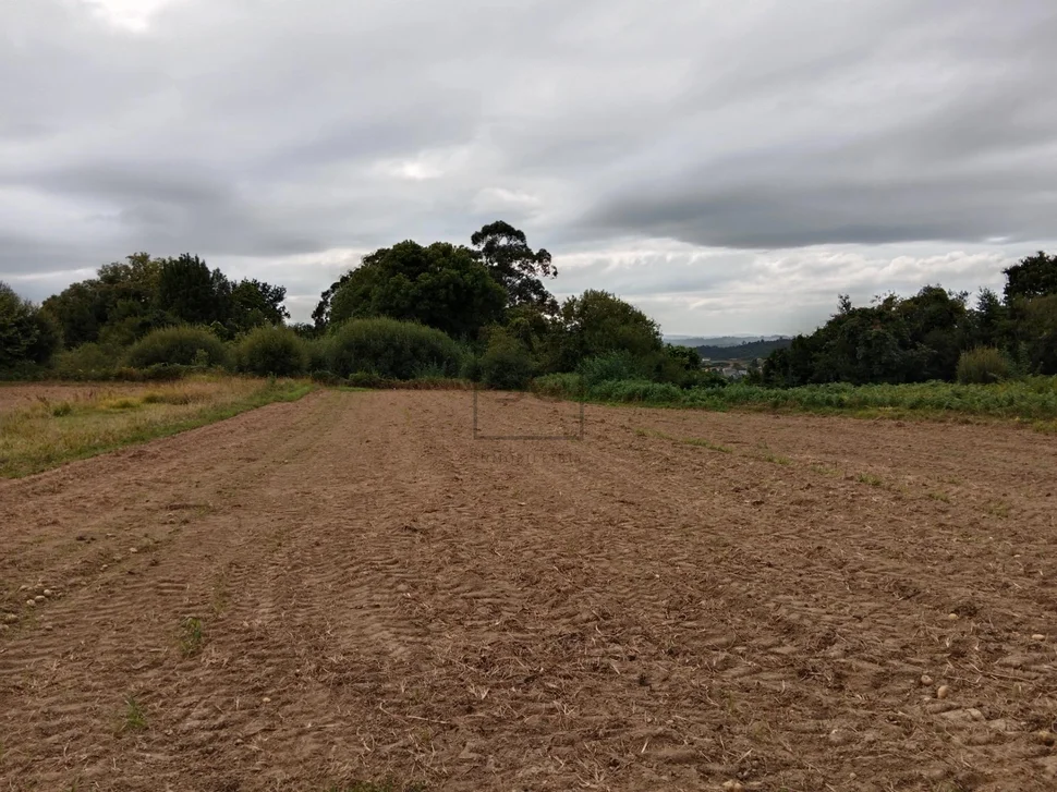 Casa con bodegas y finca