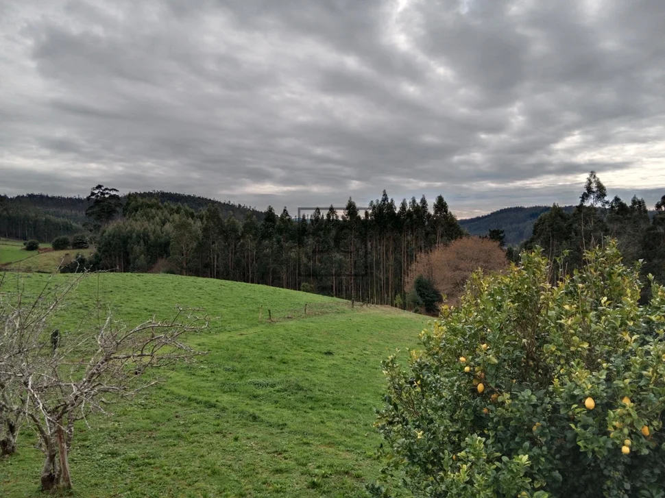 Casa de planta baja en cerdido