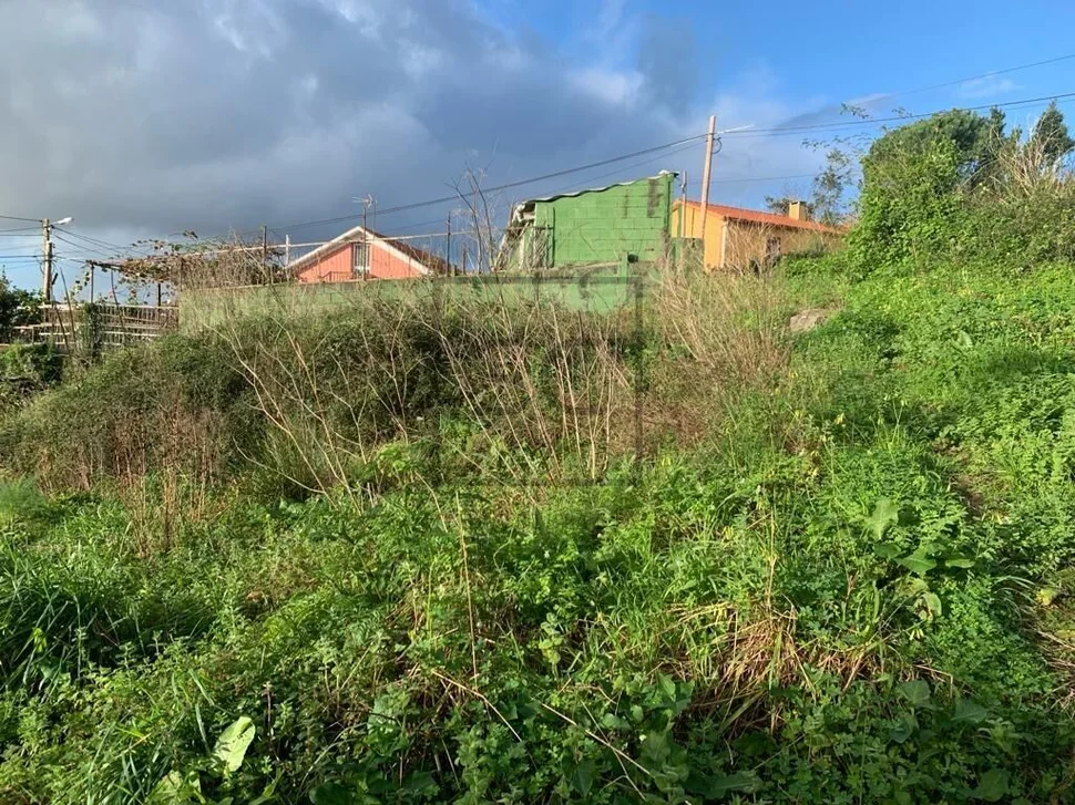 Finca edificable en casadelos-neda