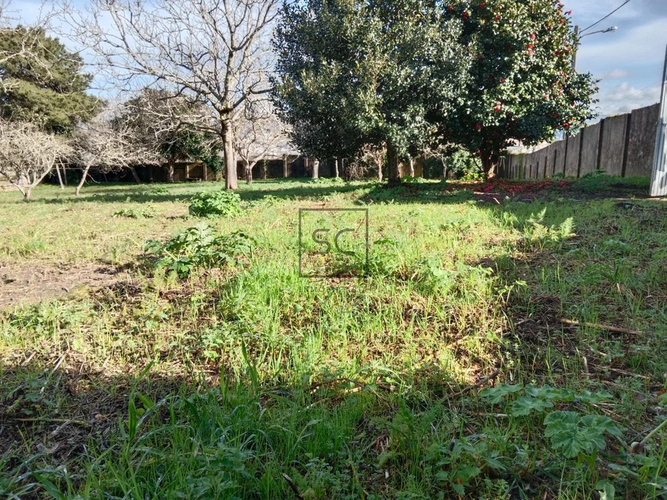 Finca edificable campolongo-pontedeume