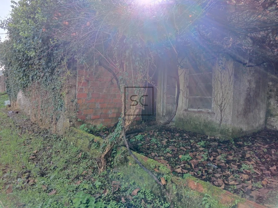 Finca edificable campolongo-pontedeume