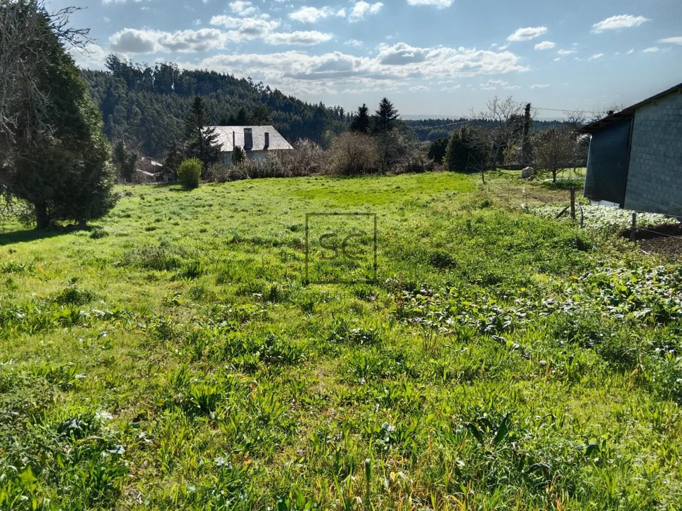 Casa con finca y bodega en magalofes-fene