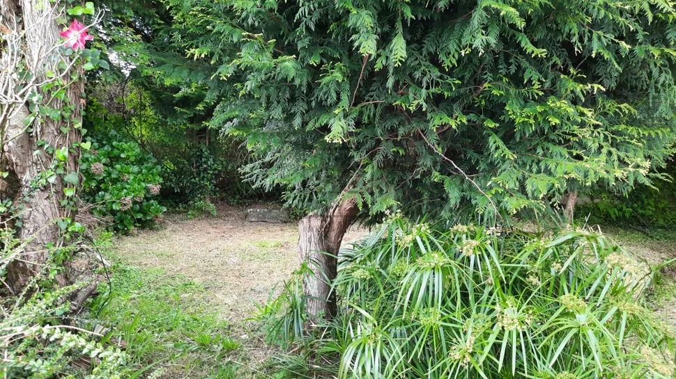 Casa unifamiliar para reforma con pequeña finca