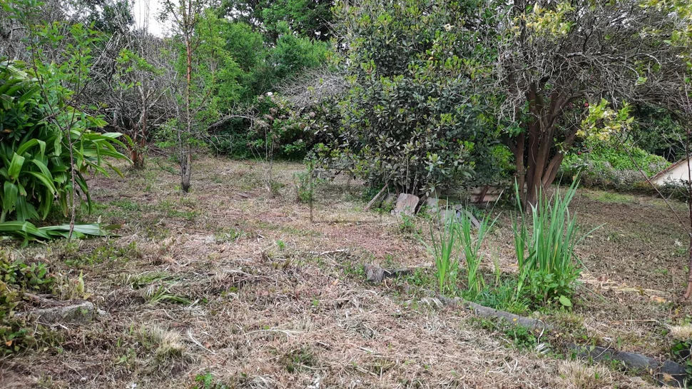 Casa unifamiliar para reforma con pequeña finca