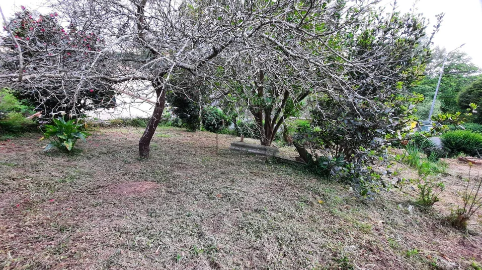 Casa unifamiliar para reforma con pequeña finca