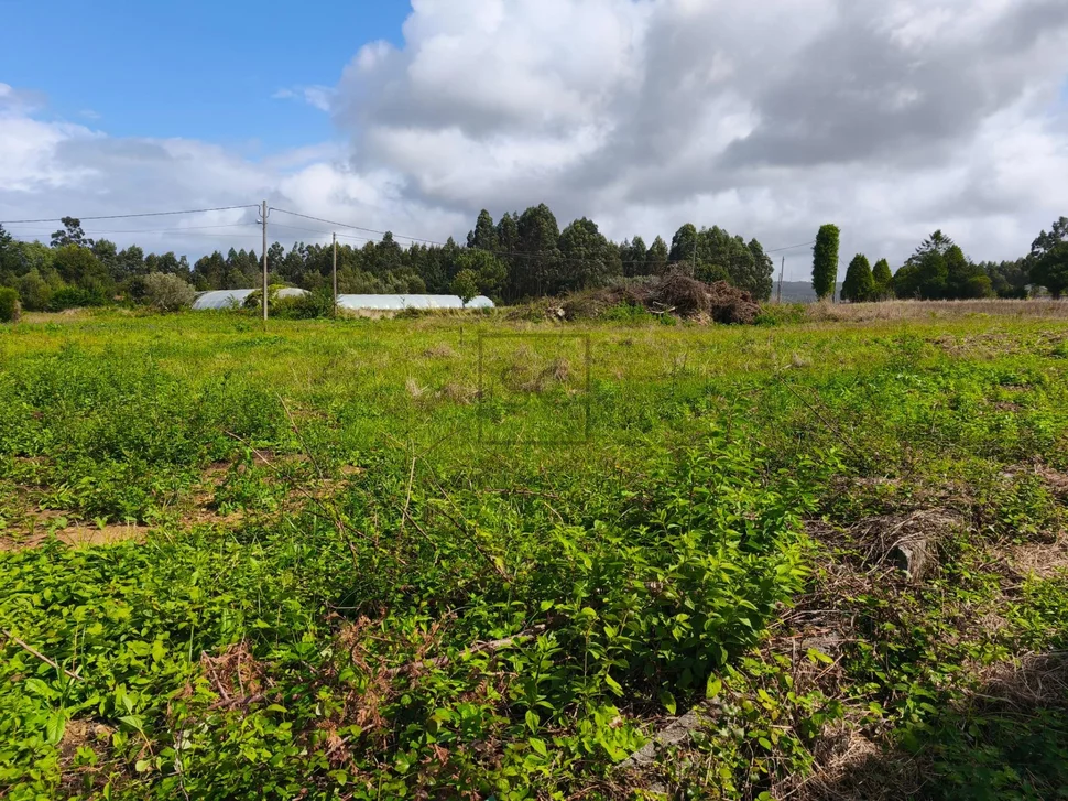 Finca edificable en lago-valdoviño