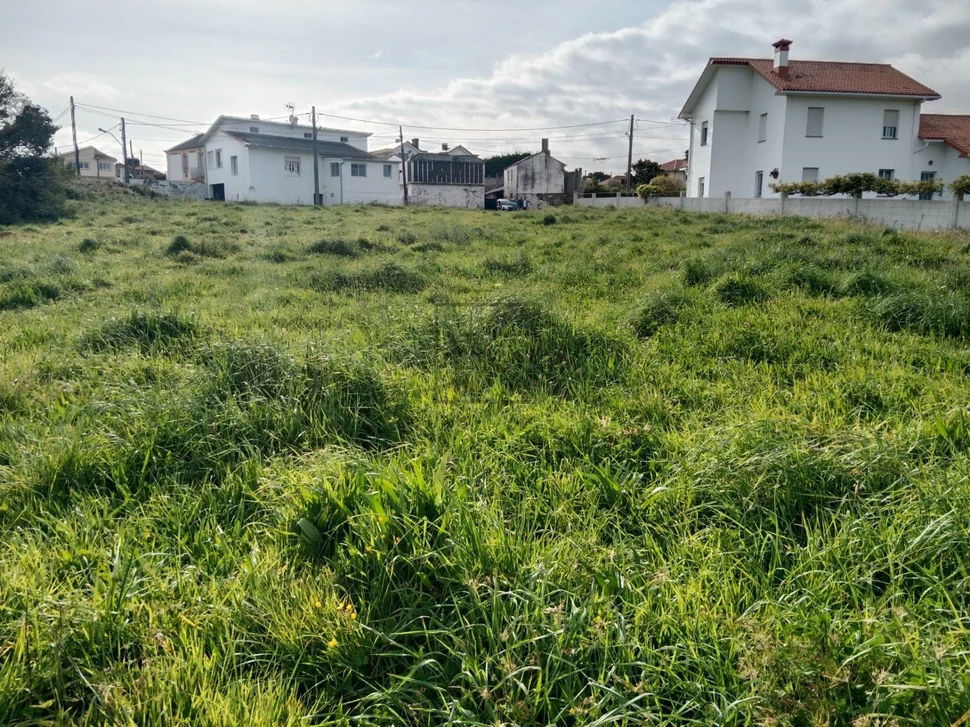 Finca edificable en lago-valdoviño