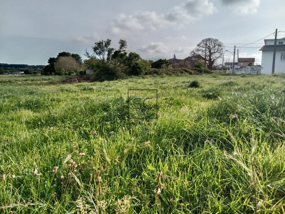 Finca Edificable en Lago-Valdoviño