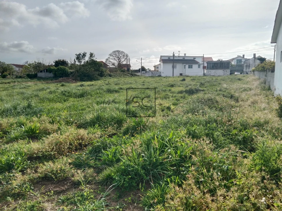 Finca Edificable en Lago-Valdoviño