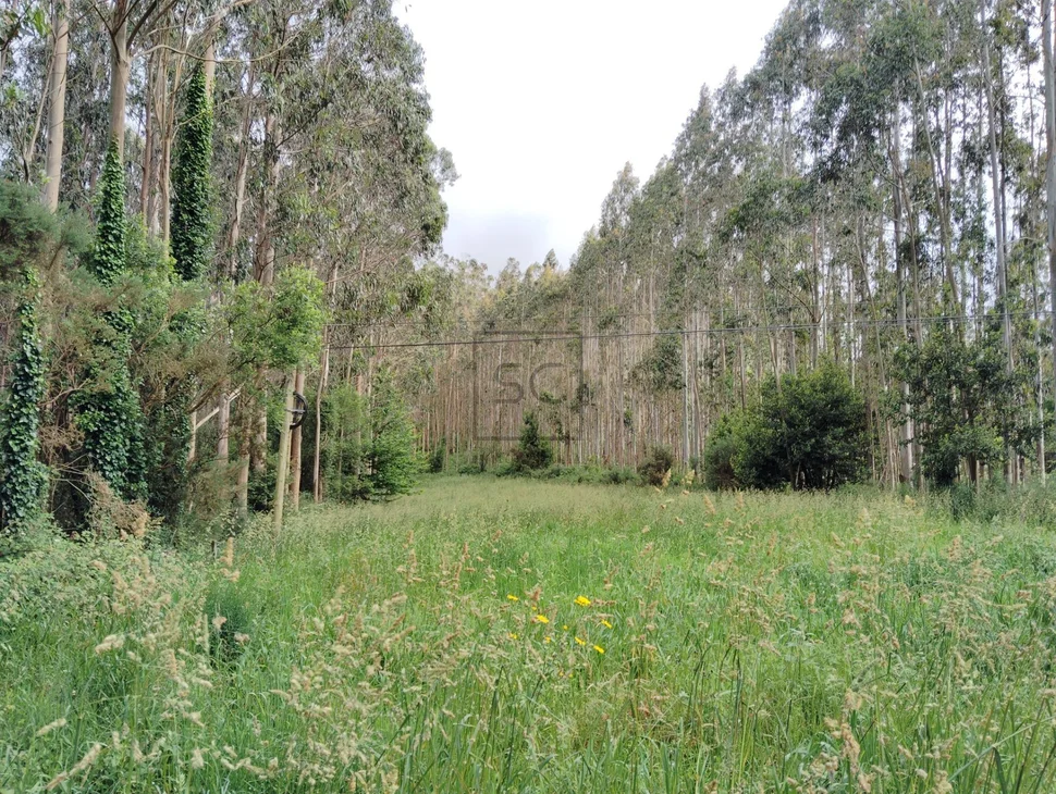 Casa en cedeira, campo del hospital