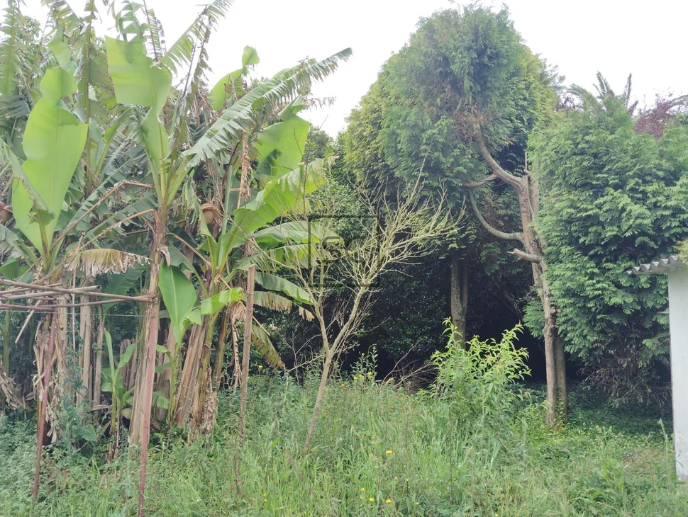 Casa con finca en san juan, ferrol