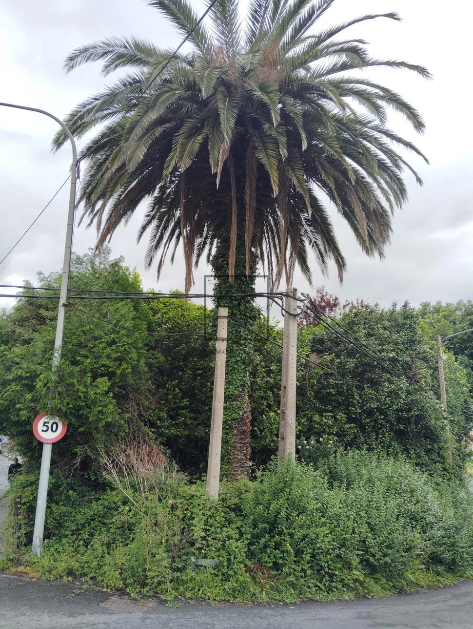 Casa con finca en san juan, ferrol
