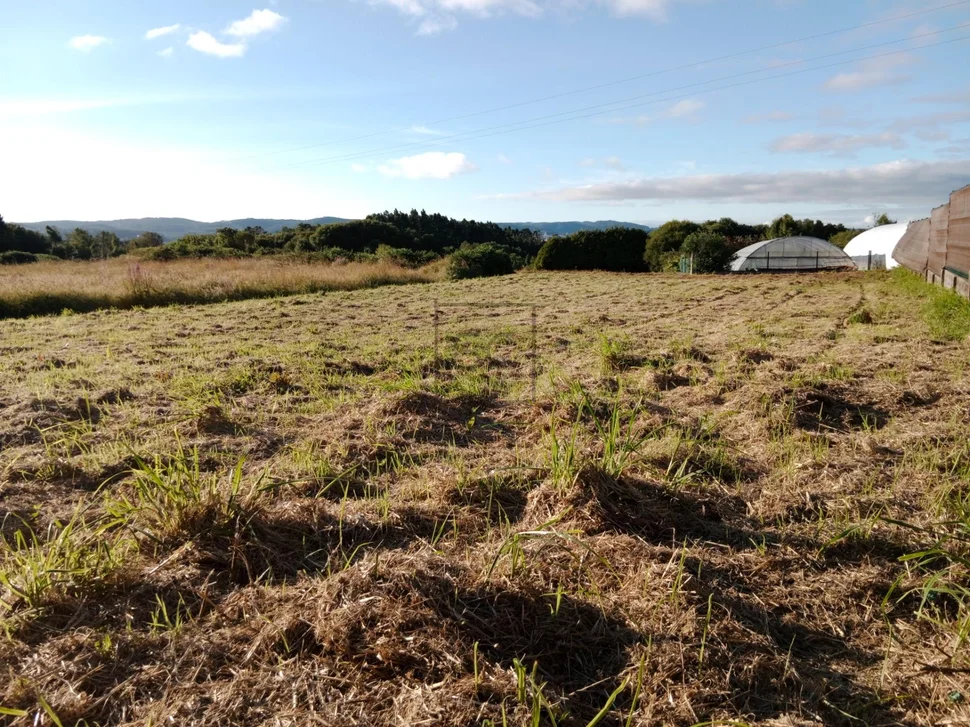 Terreno edificable en franza-mugardos