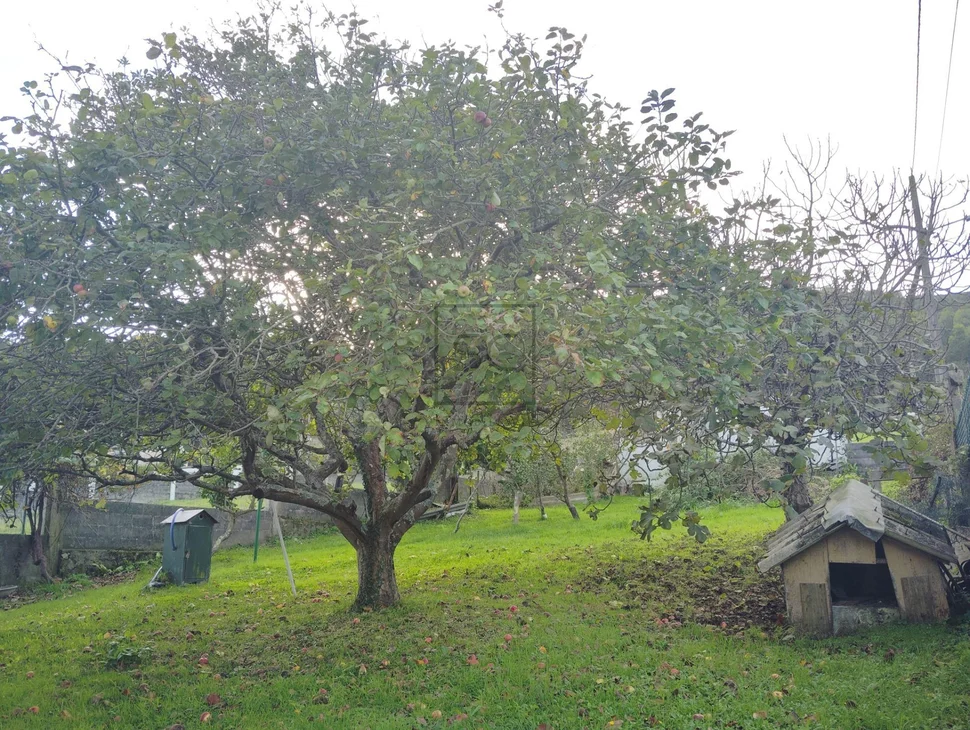 Vivienda unifamiliar cercana a la playa