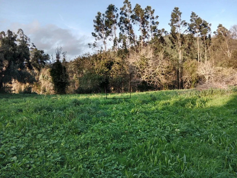 Casa de piedra con hórreo y finca en ferreira-san sadurniño