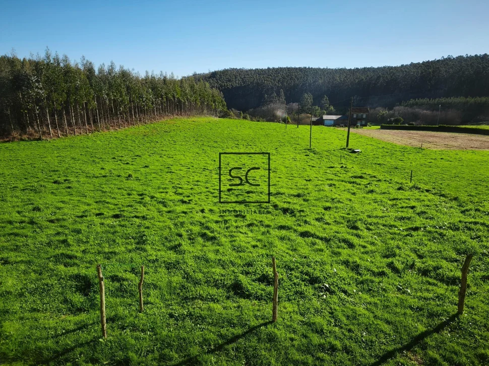 Casa de piedra con garaje y finca en cerdido
